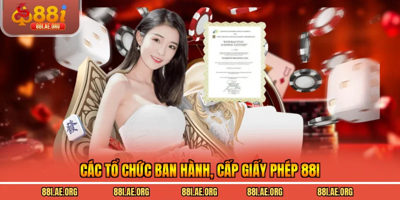 Các tổ chức ban hành, cấp giấy phép 88I