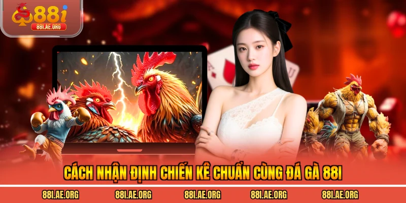 Cách nhận định chiến kê chuẩn cùng đá gà 88I