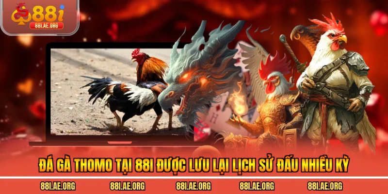 Đá gà thomo tại 88I được lưu lại lịch sử đấu nhiều kỳ